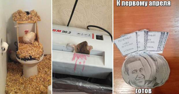 1 апреля уже близко, тут собраны самые забавные розыгрыши, которые вам обязательно пригодятся! 1 апреля уже близко, тут собраны самые забавные розыгрыши, которые вам обязательно пригодятся!