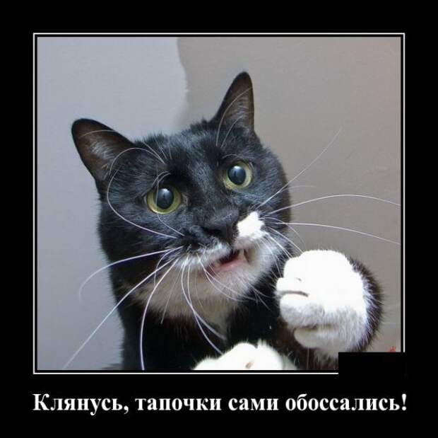 Позитивные и смешные демотиваторы со смыслом (10 фото)