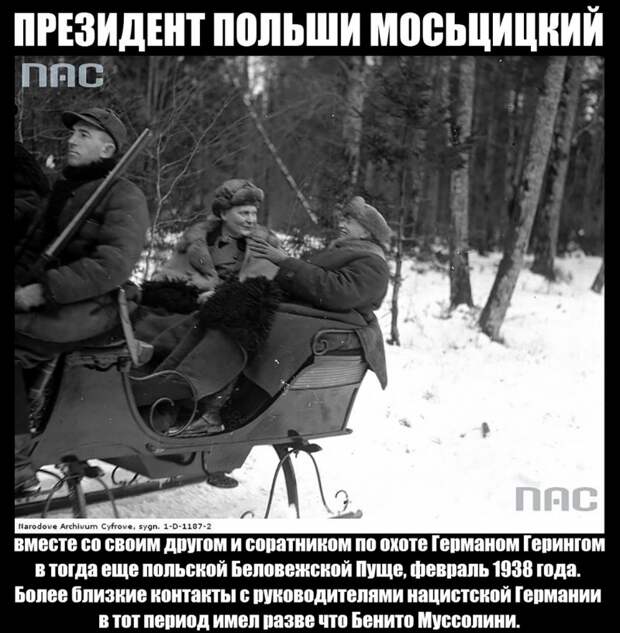 Александр Роджерс: Польша - мерцающее государство