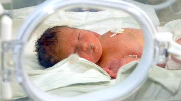 "Мы в *опе в такой находимся": Пронько о маразме чиновников, закрывающих роддома в вымирающей России