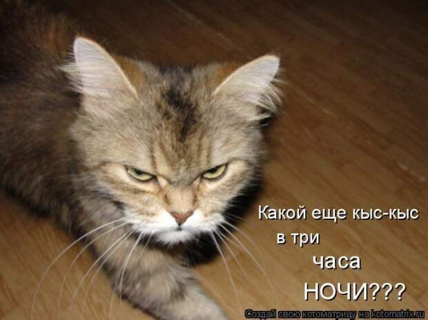 Мысли вслух :)