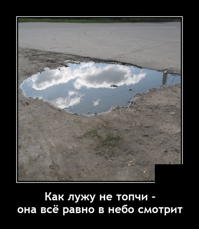 Демотиваторы 2 ноября 2021 года
