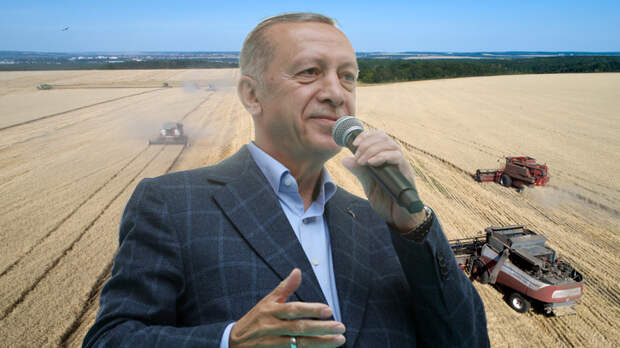 Весы для Эрдогана: Армаду кораблей НАТО в Чёрном море удерживает зерно