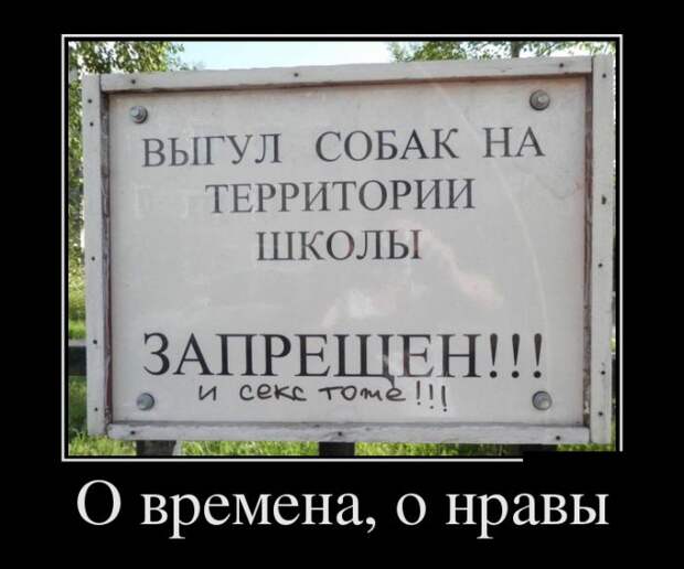 Демотиваторы (30 фото)