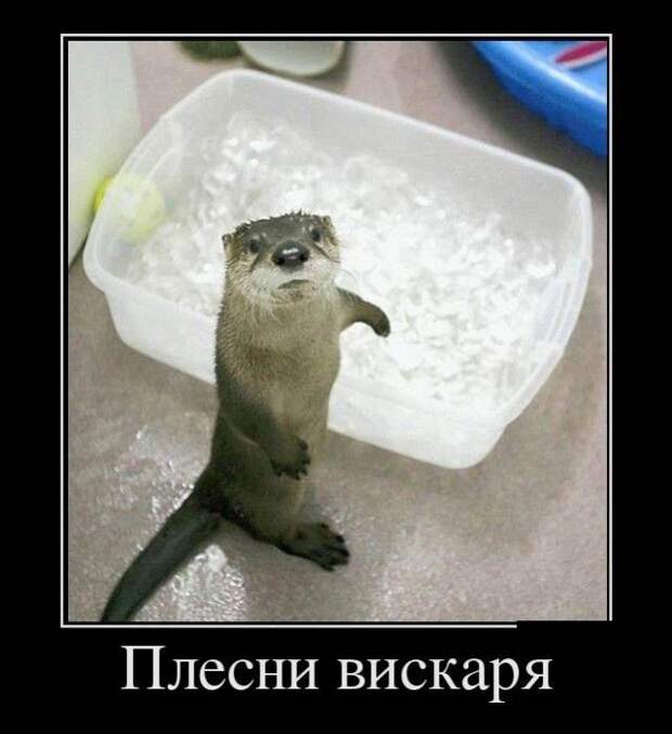 Демотиваторы