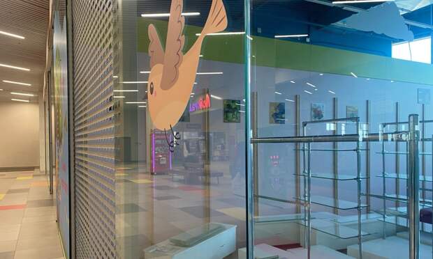 Торговый дрейф: архангельский бизнес массово выставляет ТЦ на продажу