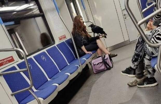 Подборка прикольных картинок