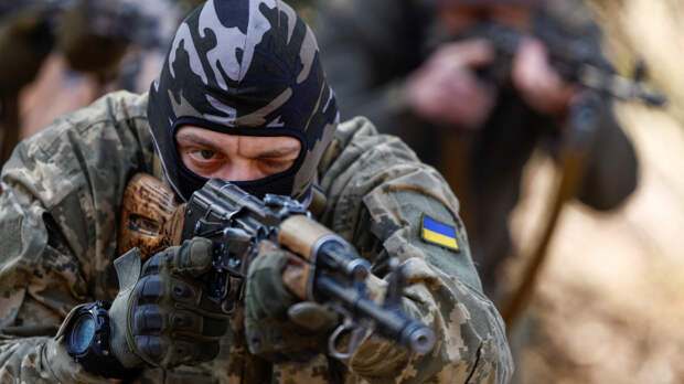 «Очевидный сигнал»: в Крыму прокомментировали украинскую петицию об иностранных войсках