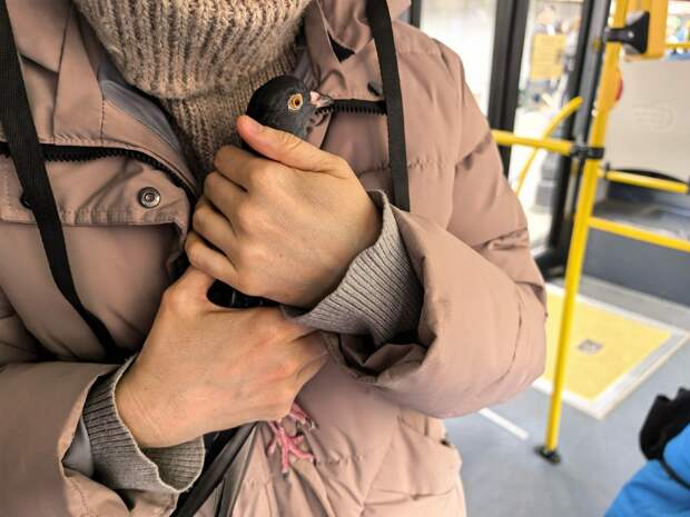 Петербуржцев эвакуировали из горящего дома на Невском вместе с питомцами