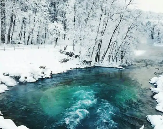 Сарва зимой озеро зимой