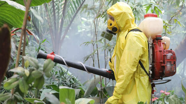 Мир закрывается