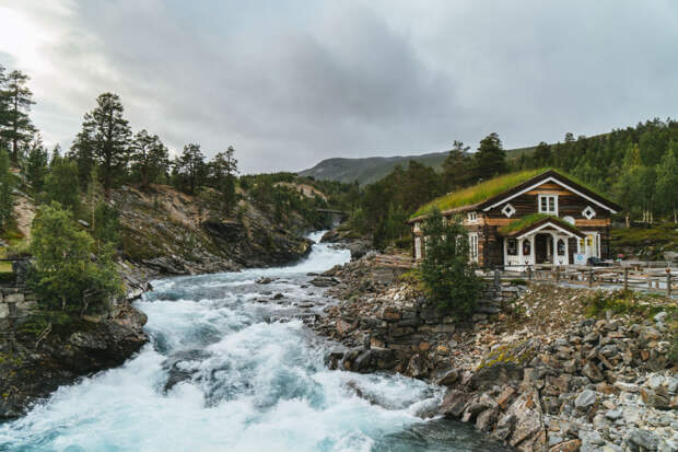 Зачем летом ехать туда, где холодно и дорого, — в Норвегию