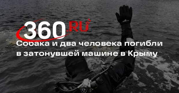 МЧС: в Крыму машина съехала в водохранилище, погибли два человека и собака