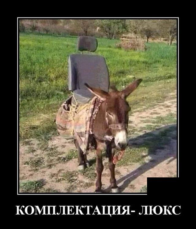 demotivatory-demotivator-smeshnye-demotivatory-demotivator-so-smyslom