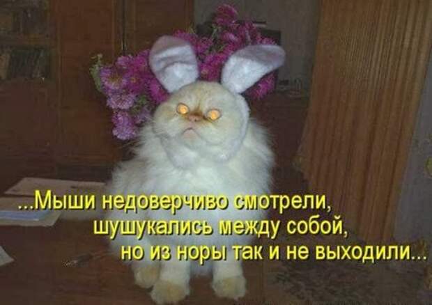 be329236c7a98ea54b3273b52e2_prev