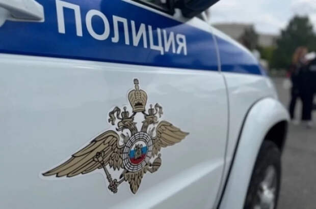 Жителя Камчатки будут судить за кражу Деда Мороза