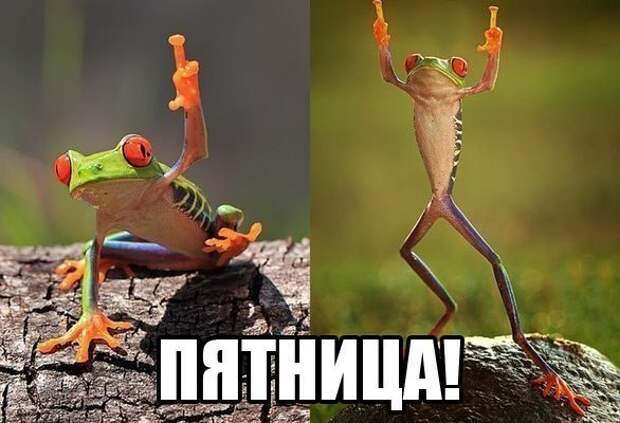 Всяко - разно 12 )))