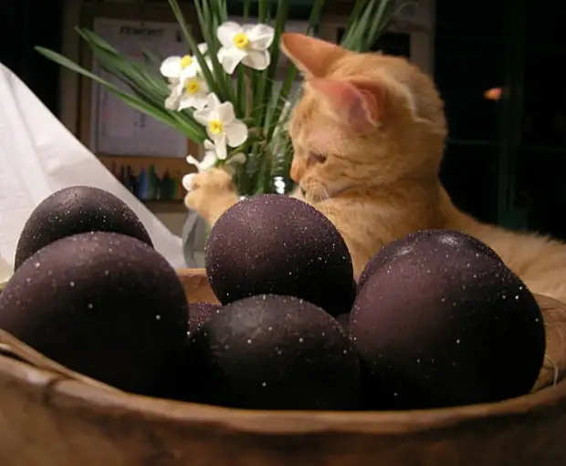 Яйца, окрашенные вином.