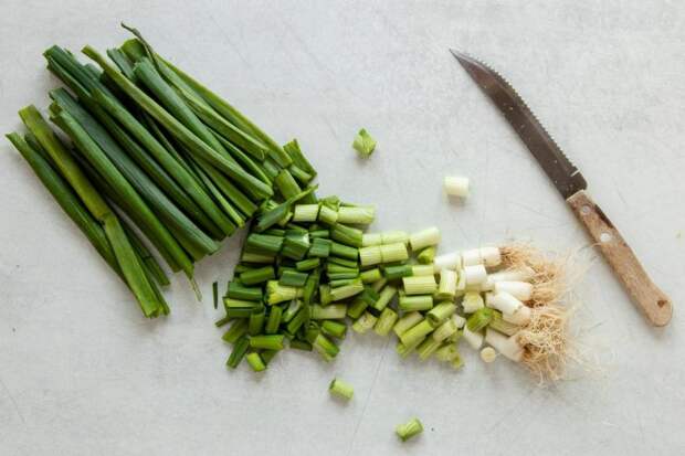 Как вырастить 2 кг зеленого лука на подоконнике