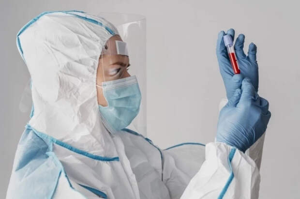 Лихорадка чикунгунья уже в России: кому и чем грозит смертельный вирус