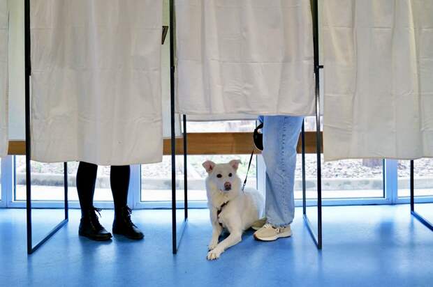 Париж остается левым, Ницца уходит к крайне правым: итоги первого тура муниципальных выборов во Франции