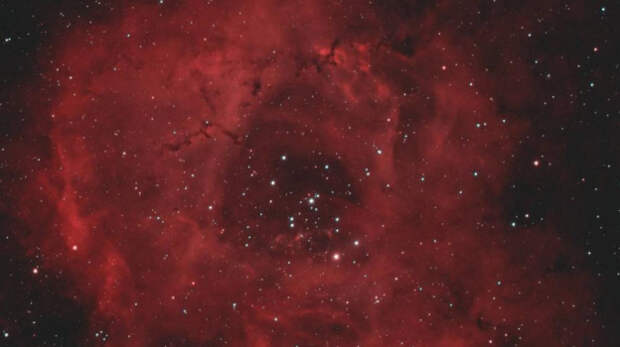 «Роскосмос» показал космический букет к 8 Марта