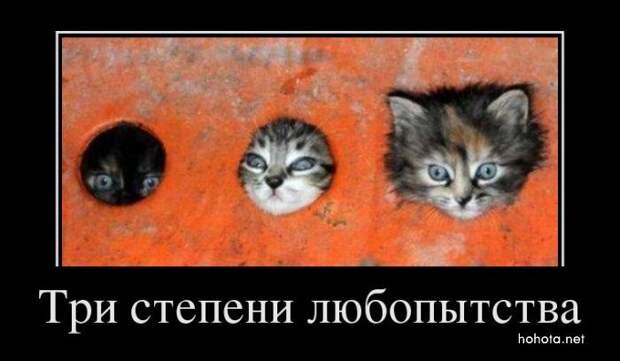 Демотиваторы (155 фото)