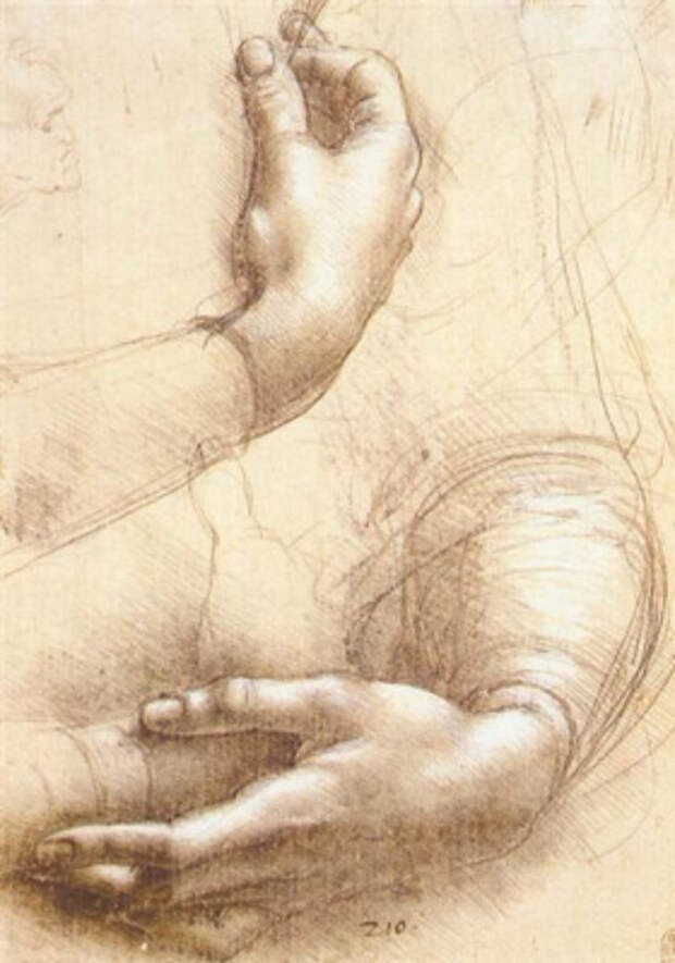 Леонардо да Винчи. Эскиз рук