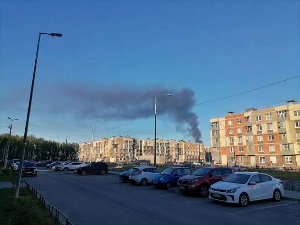 Воздух на улице на сегодня. Воздух на улице на сегодня