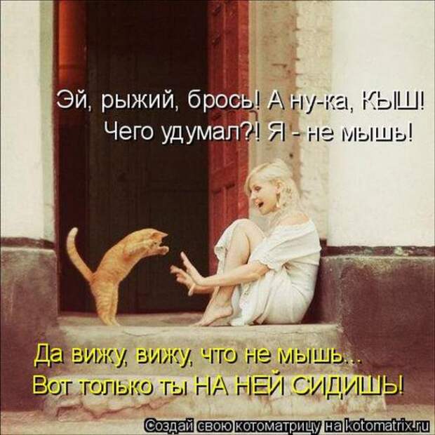 Котоматрицы(картинки с надписями)