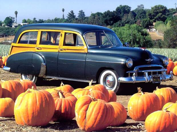 Эволюция шкафа авто, Woody