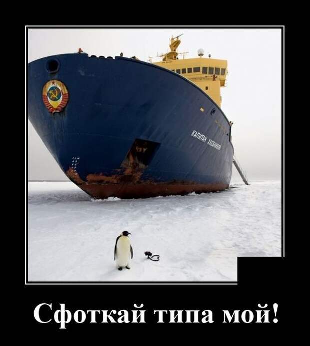 Демотиватор про фотографии