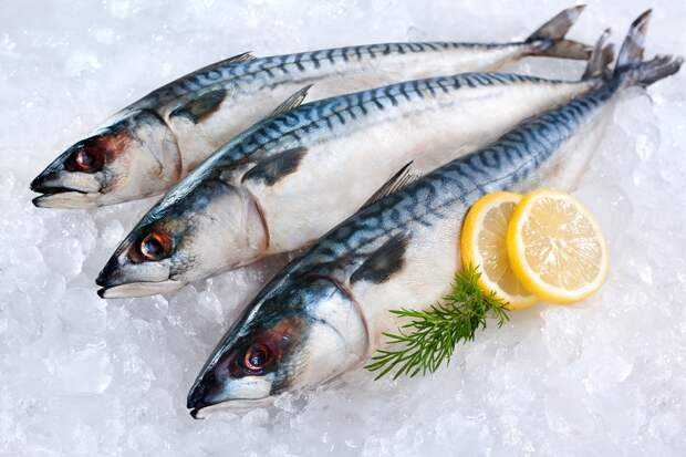 продукты питания для работы мозга