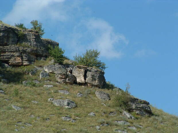 DSCF0291.JPG