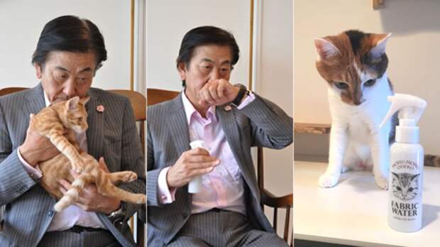 В Японии создали парфюм с запахом кошачьего лба