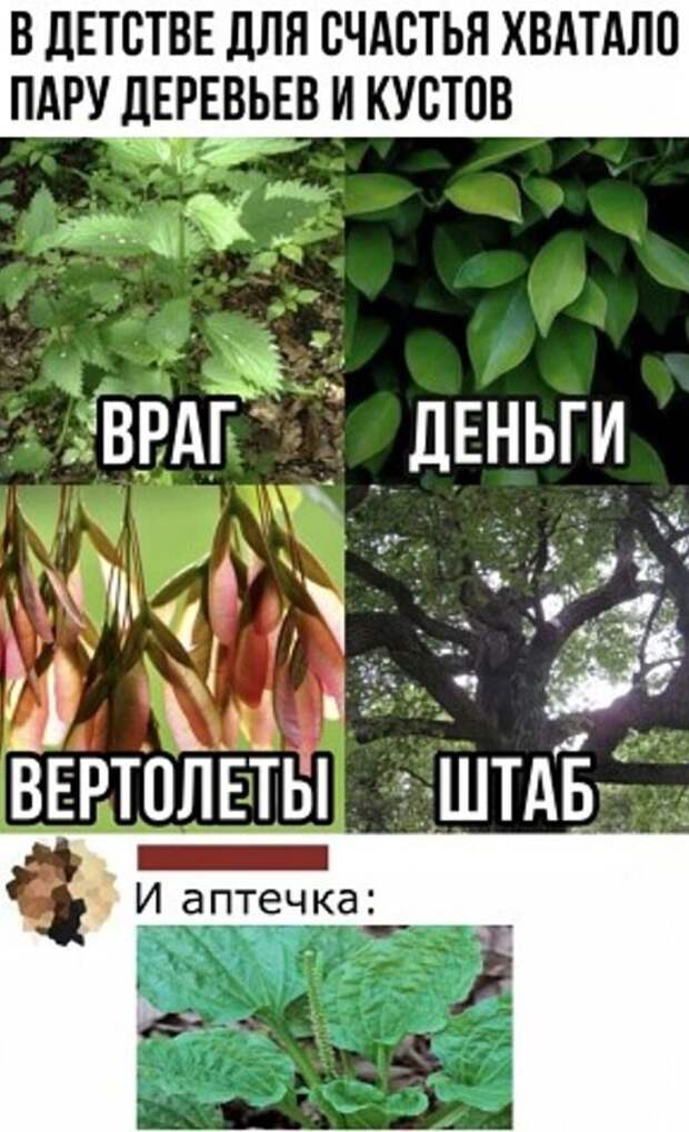 Счастье в детсве Счастье в детсве