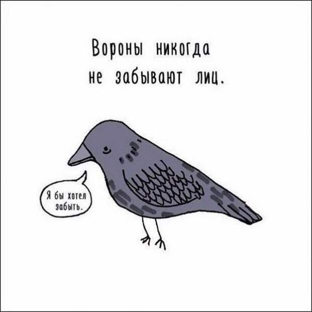 Минутка лёгкой наркомании и деградации