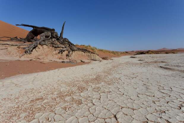 В ЮАР шестилетняя засуха привела к нехватке питьевой воды: Новости ➕1, 21.06.2022