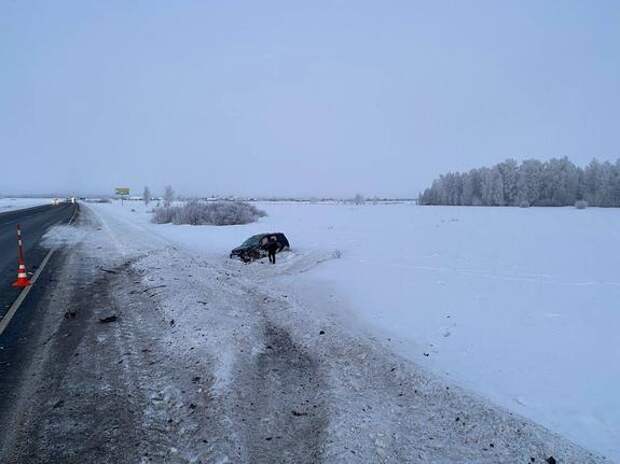В Тюменской области четыре человека погибли в ДТП при столкновении легковой машины и микроавтобуса на 34 км трассы Ишим–Казанское