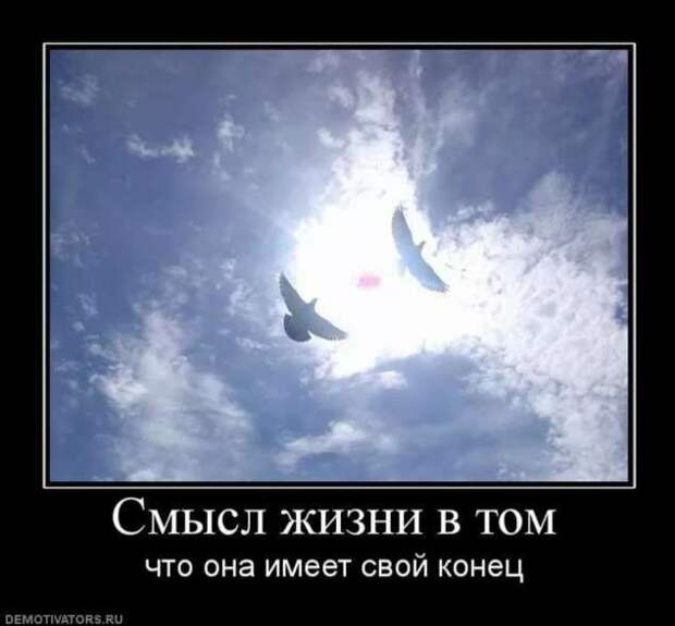 Прикольные демотиваторы с надписями. Подборка chert-poberi-dem-chert-poberi-dem-22130625062020-5 картинка chert-poberi-dem-22130625062020-5
