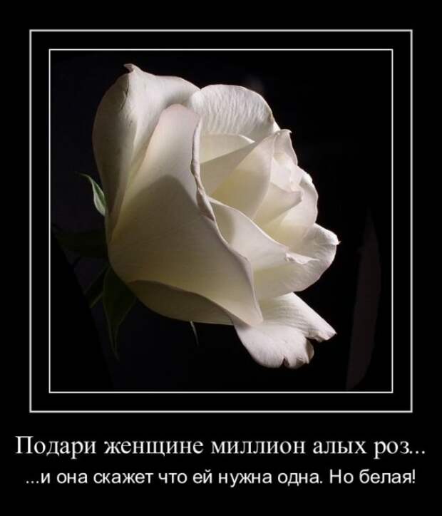 Демотиваторы про женщин (40 фото)