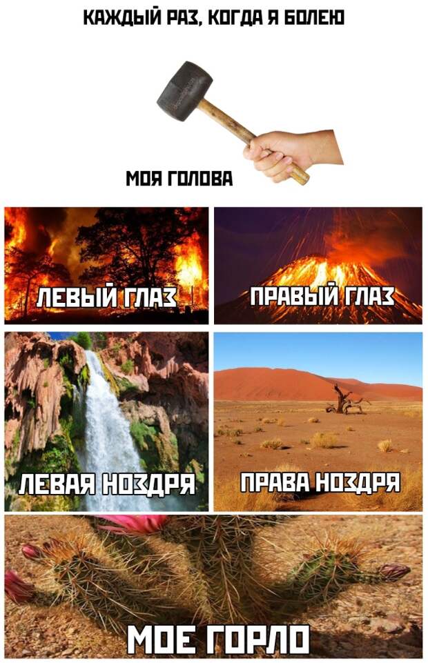 www.vsyako.net