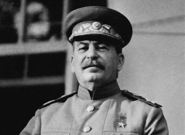 Борщевик: за что это растение в СССР прозвали «местью Сталина»