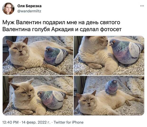 14. Перейдем к креативным подаркам