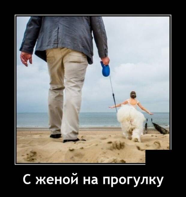 Демотиватор про прогулку