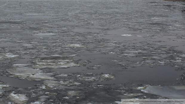 Гулявший по льду реки 5-летний мальчик погиб в Пензе