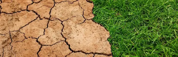 В Мангистауском районе прогнозируют умеренную засуху