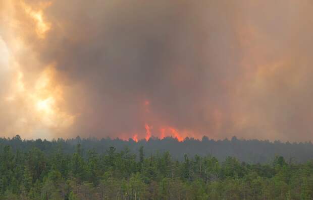 По данным властей ХМАО, за месяц в округе сгорело более 333 тыс. га леса, Гринпис считает, что площадь в разы больше