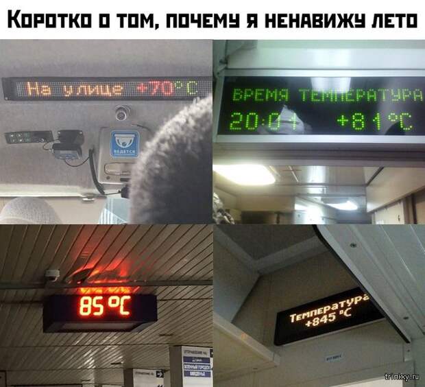 Лето - такое долгожданное и... жаркое (23 фото)
