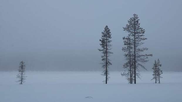Зимой в Финляндии не очень-то солнечно... география, интересная страна, красота, куда поехать, независимость, праздник, туризм, финляндия